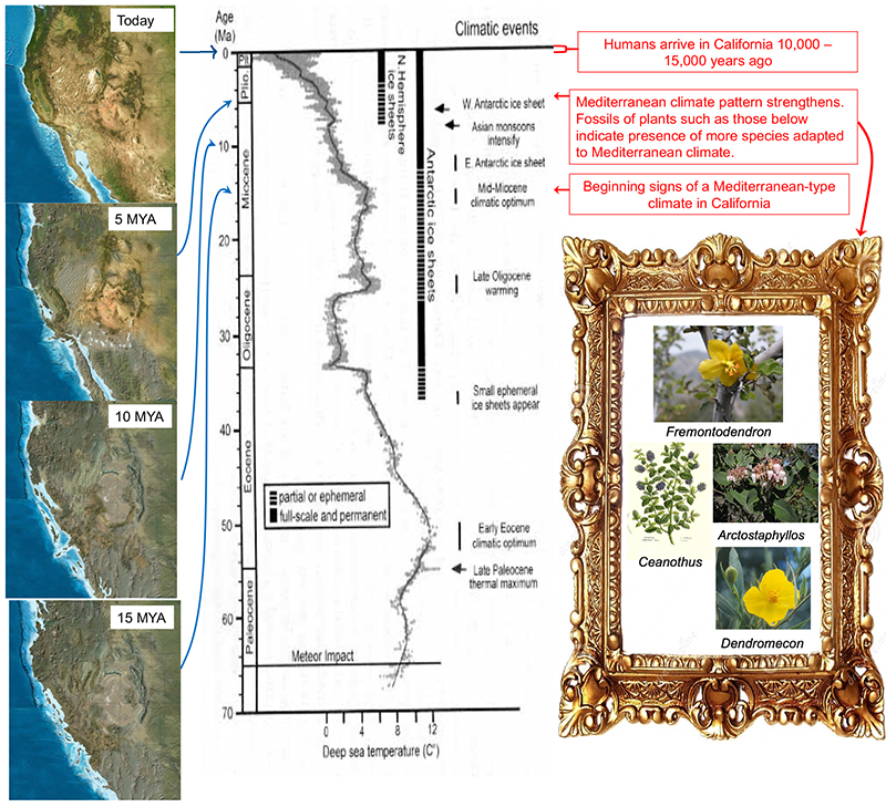 Changes in topography, climate and vegetation over time