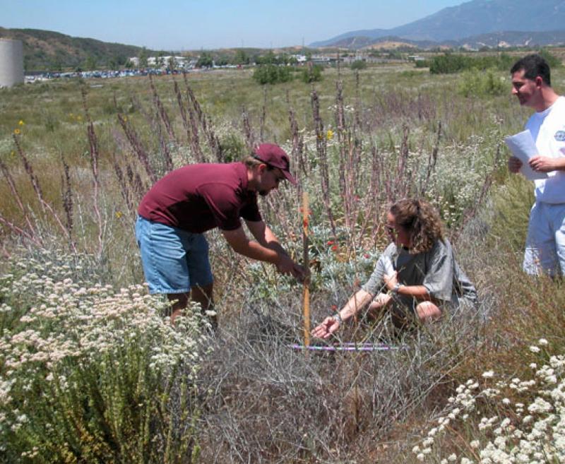 CSS on flat terrain at CSUSB