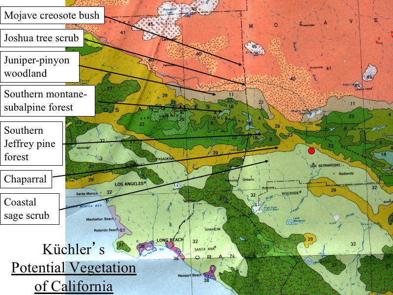 KÃƒÆ’Ã‚Â¼chler's Potential Vegetation of California