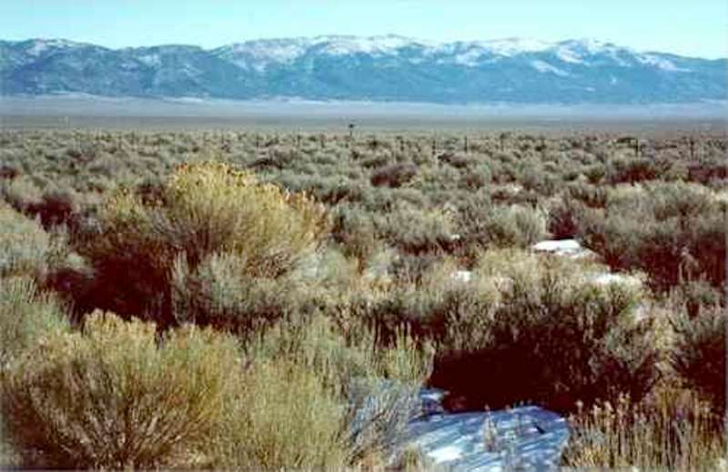 Great Basin Desert with sagebrush and rubber rabbitbrush