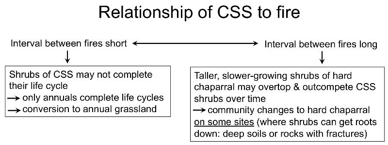 Potential effect of fire frequency on CSS