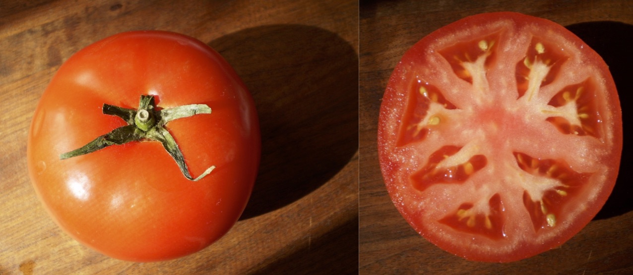 Tomato