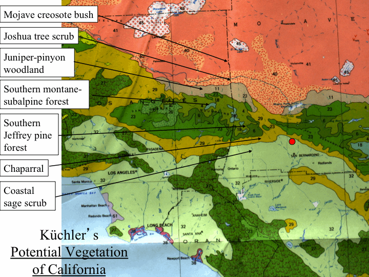 Potentil vegetation of Southern California