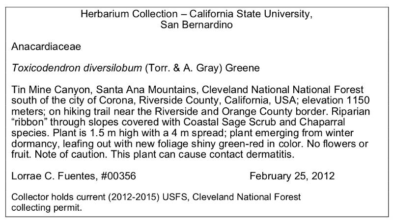 Herbarium label - 2012